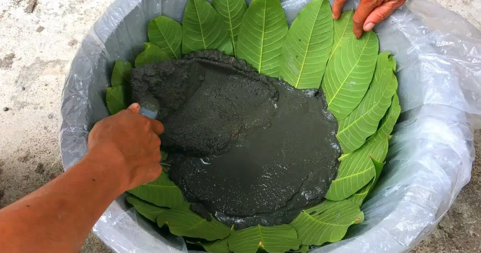 How to Make Cement Project Cement Craft Greenhome Gardening